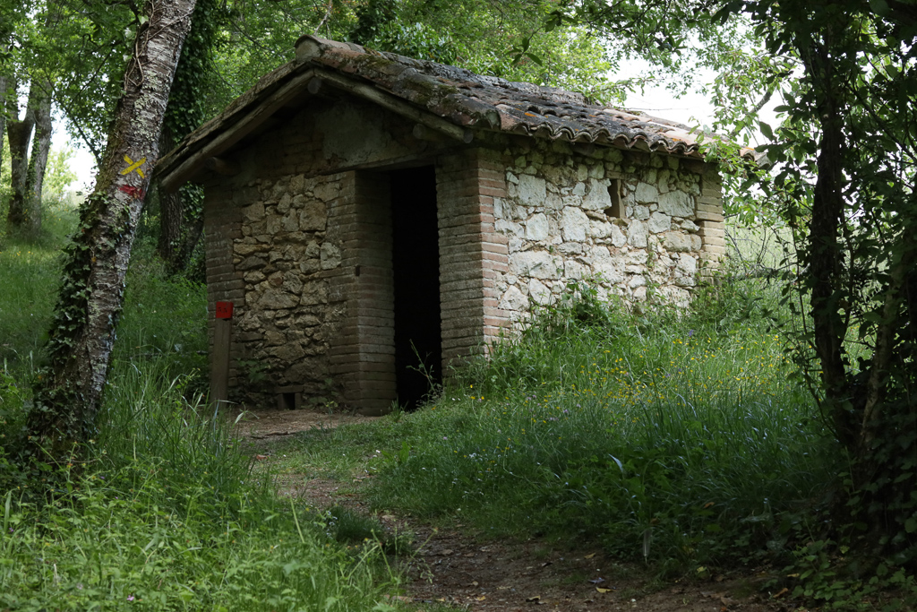 Cabane dans la forêt de Sivens