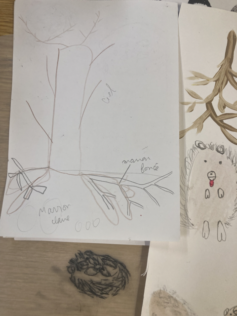 Dessin d'arbre Atelier pour enfant des ateliers Mus'artt